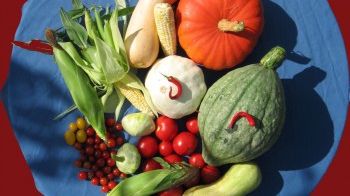 5 superalimente care îţi pot salva viaţa