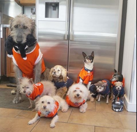 Oamenii plâng când îl văd. Cum arată bărbatul care ia acasă animale pe care nimeni nu le vrea