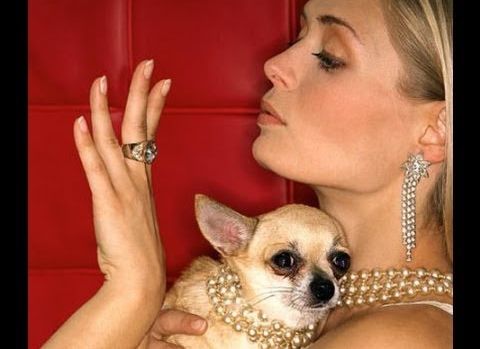  De ce te urăște lumea? Care sunt cele mai mari defecte în funcție de zodie 