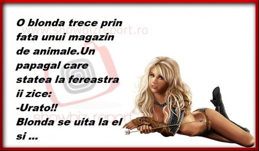 BANCUL ZILEI: Blonda și papagalul GENIAL