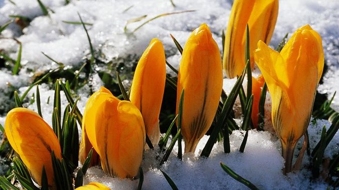 Vremea extremelor: soare cu dinţi, lapoviţă şi ninsori. Prognoza meteo pe trei zile