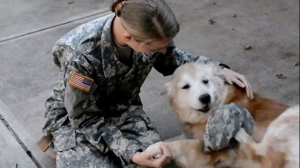 Emoționant. Reacția unui câine când stăpânul său, un soldat, s-a întors din misiune