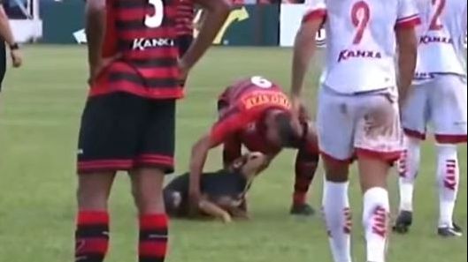 Un câine a intrat pe teren în timpul unui meci. Ce-au făcut fotbaliștii? Amuzant