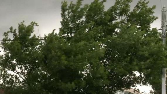 Cod galben de vânt în sud-estul țării! Precipitaţii predominant sub formă de ninsoare, la munte 