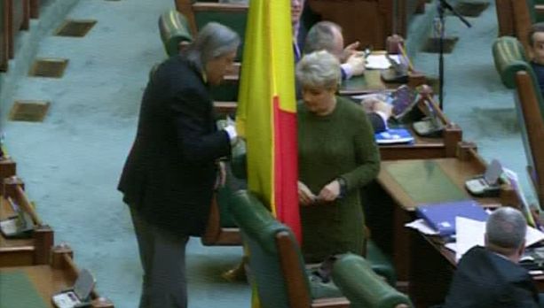 Cristianei Anghel i-a căzut un steag în cap, în Senat. Reacţia: Intenţia sa, extraordinar de bună