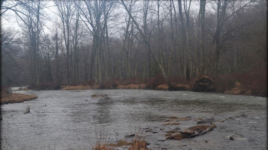 Avertizare METEO. Ploi și vânt în cea mai mare parte a țării