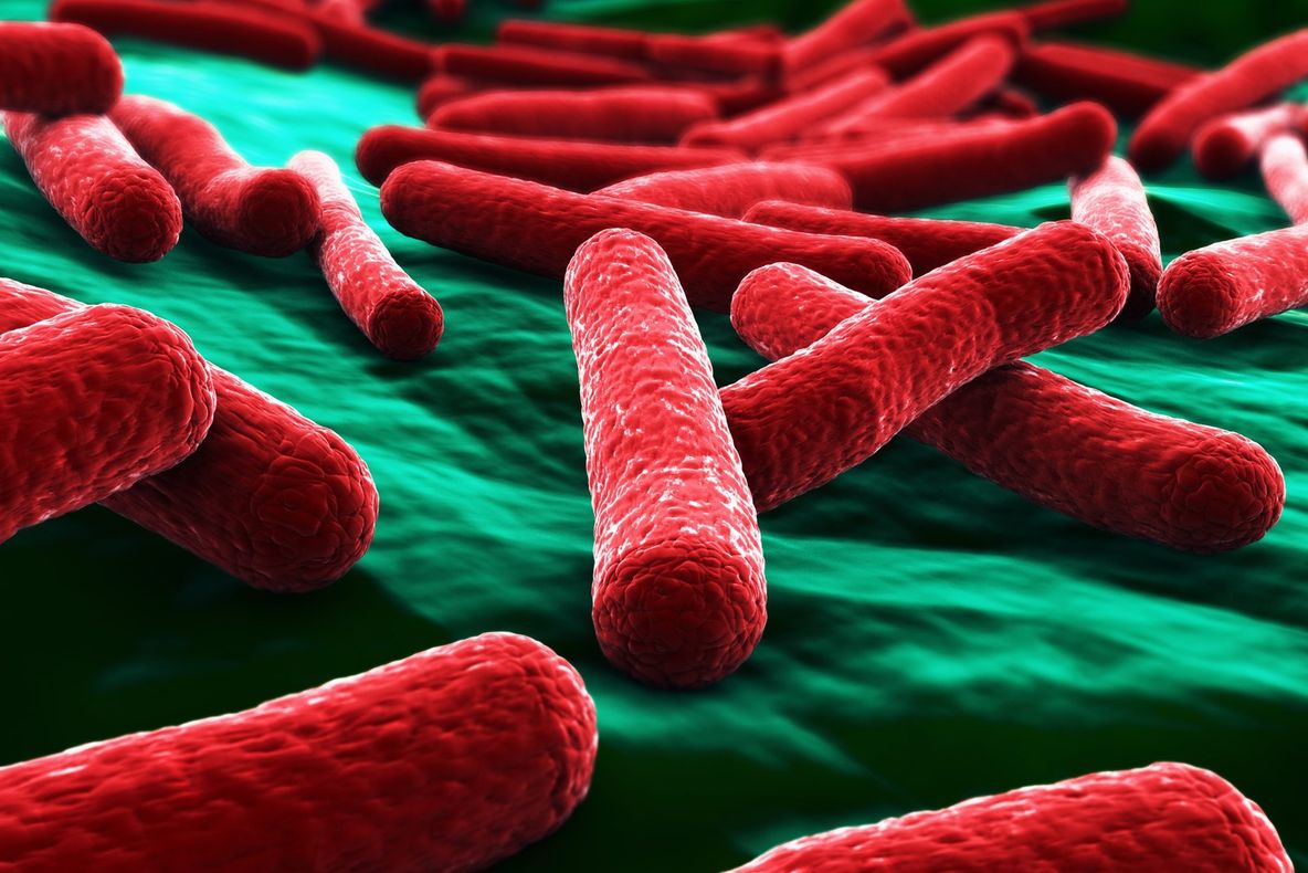 Cum te poți infecta cu bacteria E.Coli. Lista produselor de care să te ferești