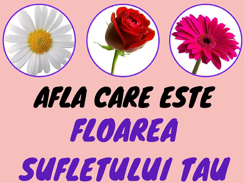 Care este floarea sufletului tău în funcţie de ziua în care te-ai născut