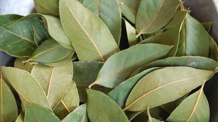 Beneficiile mai puțin știute ale frunzelor de dafin! Cât de sănătos este consumul lor 