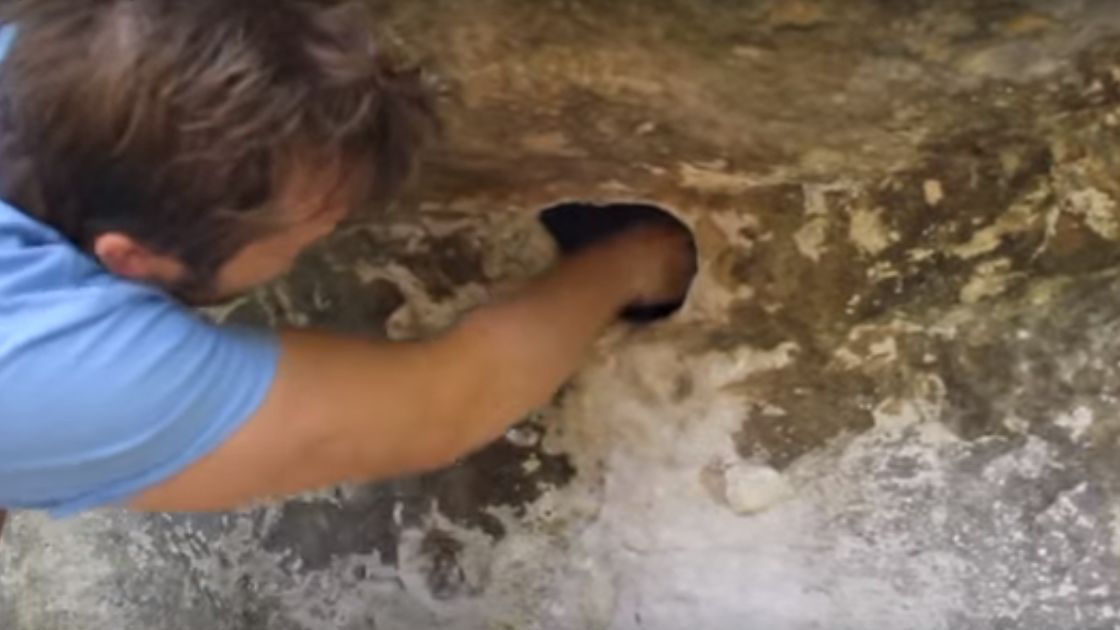 A văzut gaura în stâncă și a băgat mâna. Mai bine nu o făcea. Ce a ieșit de-acolo 