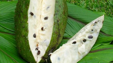 Acest fruct ucide celulele canceroase de 1.000 ori mai rapid decât chimioterapia