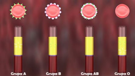 NU consuma aceste alimente dacă ai grupa sangvină 0 (zero)