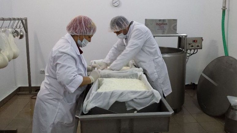 Angajaţii Lactate Brădet depistaţi cu E.Coli au început tratamentul la domiciliu