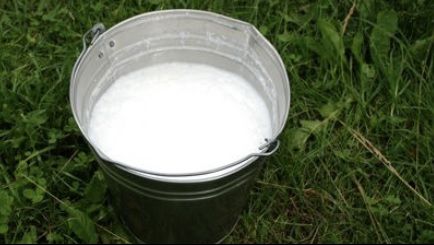 Laptele-minune pe care locuitorii din Caucaz îl consumă zilnic.Îi ajută să trăiască peste 100 de ani