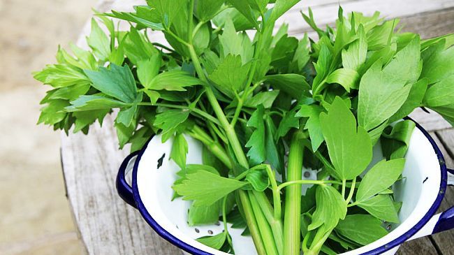 Cum scapi de pietrele la rinichi cu ajutorul leuşteanului. Leacul cel mai eficient!