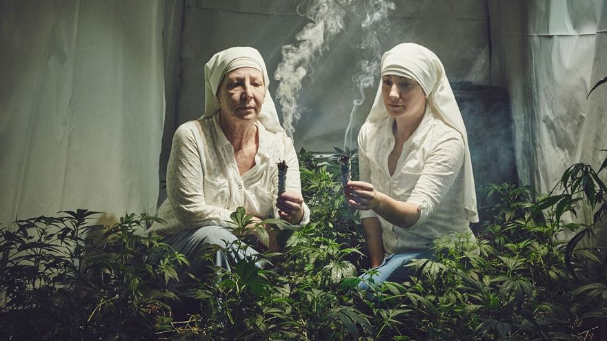 Povestea măicuțelor care cresc marijuana! Cum decurge afacerea lor te va lăsa fără cuvinte! 