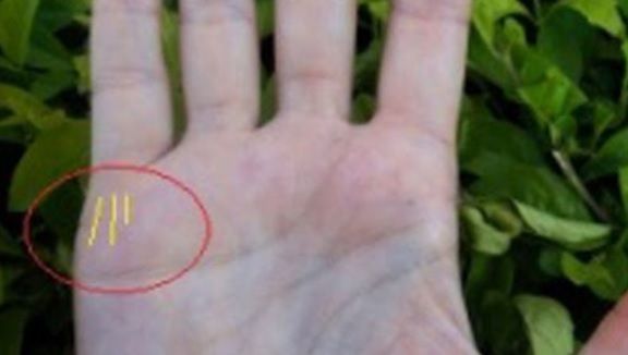 Vrei să ştii câţi copii vei avea? Răspunsul stă scris în palmă