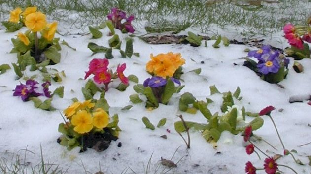 Vremea extremelor: vânt, lapoviţă şi ninsori. Prognoza meteo pe trei zile