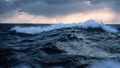 Descoperire uluitoare în adâncurile Oceanului Pacific. Seamănă cu o fantomă