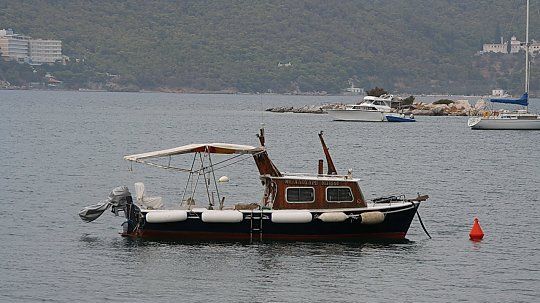 VIDEO. Acești pescari opresc barca deoarece aud niște plânsete. Ce au descoperit pe mal