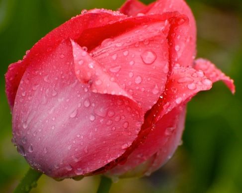 Ploi abundente şi temperaturi modeste. Prognoza meteo pe trei zile 