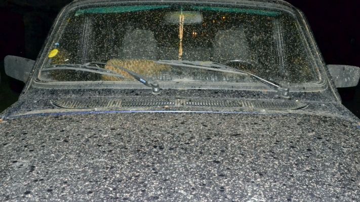 Adevărul despre "ploaia de rumeguş" care a speriat zone din Ardeal şi Banat