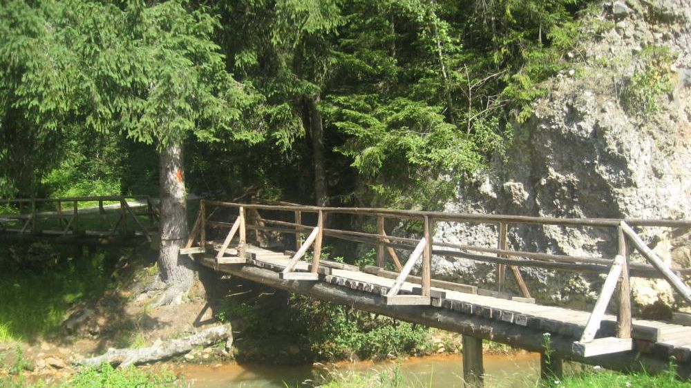 Se întâmplă în România. Un pod din Vâlcea a fost reparat de CNADNR cu ... crengi