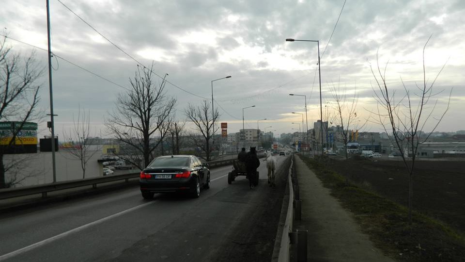 GALERIE FOTO. Asta este România! Cele mai amuzante fotografii din judeţul lui Liviu Dragnea