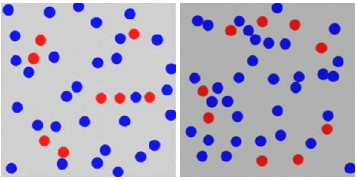 Poți să găsești litera ascunsă în imagine? Doar 1% dintre persoane au reușit să facă asta din prima