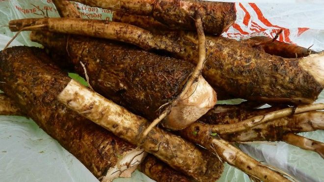 Rădăcina care reduce glicemia, protejează ficatul de toxine și reduce colesterolul