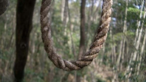 Elevă premiantă, găsită spânzurată în pădure. Mesajul cutremurător pe care l-a lăsat pe Facebook