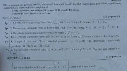 Simulare Bac 2016 Matematică. Ce subiecte au primit elevii de clasa a XII-a şi clasa a XI-a