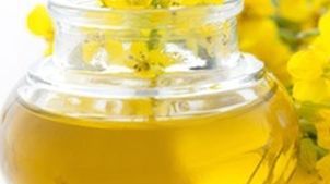 Efectele miraculoase ale uleiului de coada şoricelului