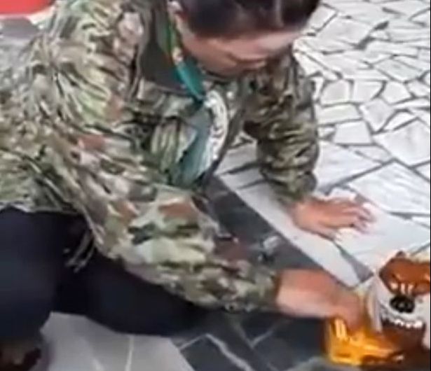 ”Gâdila” un cățel de jucărie pe stradă. Animalul s-a ”trezit”. Reacția femeii e fabuloasă