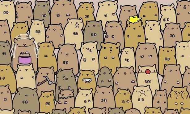 Cea mai tare iluzie optică! Găsește cartoful ascuns printre hamsteri
