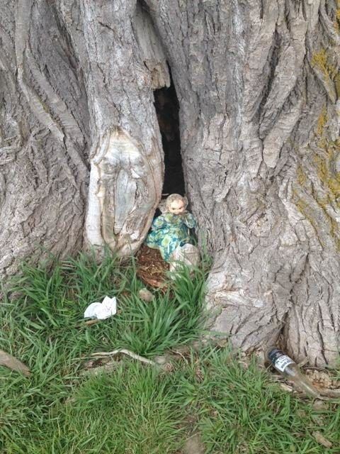 A ridicat o păpușă găsită la tulpina unui copac, dar a regretat. Descoperirea l-a pus pe fugă