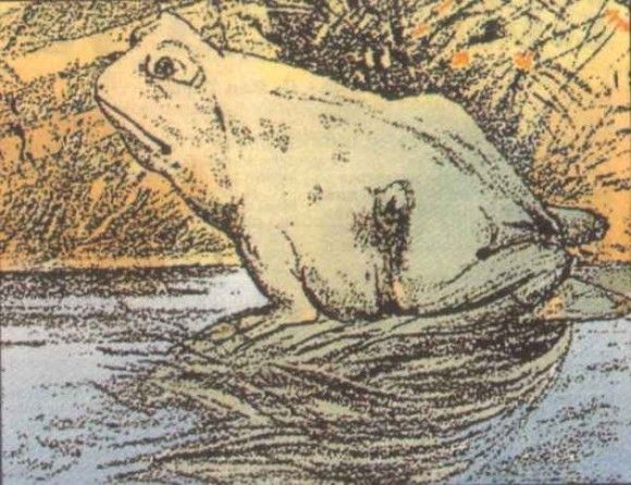 8 iluzii optice care te vor ameți. Imaginile sunt spectaculoase