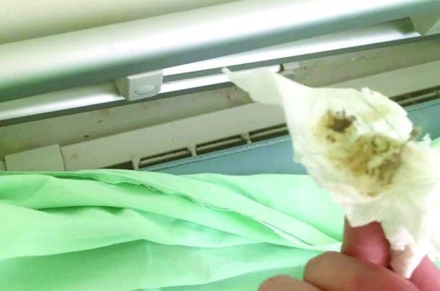 "Terapie" cu furnici într-un mare spital din România. Reacţia spitalului: Vor să ne discrediteze