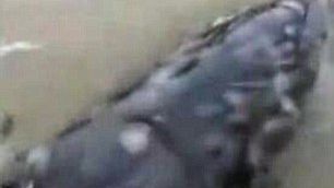 Un pescar a tras de undiţă până când a rămas şocat ce ieşea din apă! Te ţine să te uiţi la imagini?