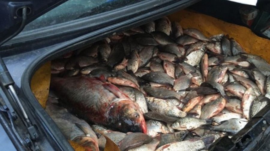 S-a întâmplat la Galaţi. Au lăsat totul, în plină stradă, sperând să scape; ce a urmat