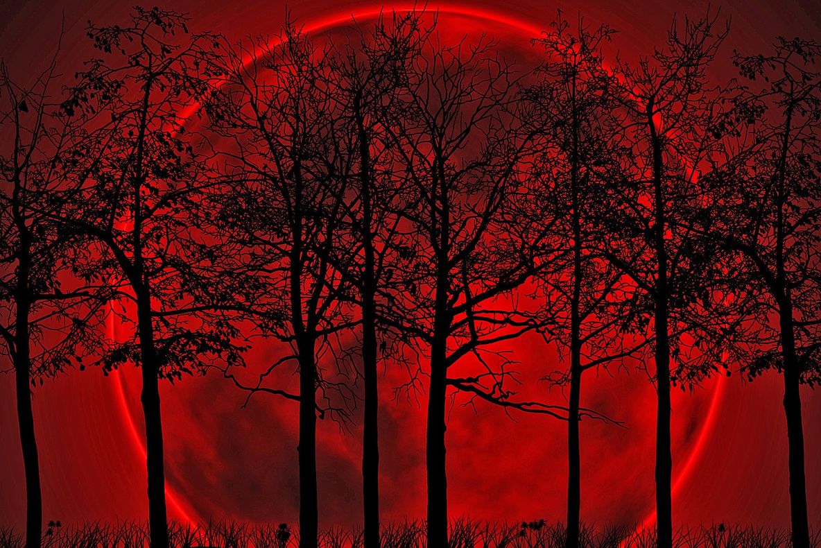 Ce înseamnă dacă visezi sânge