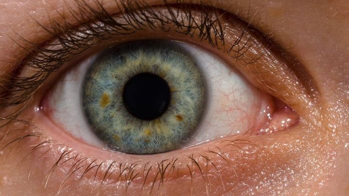 Ce înseamnă dacă ţi se zbate ochiul drept