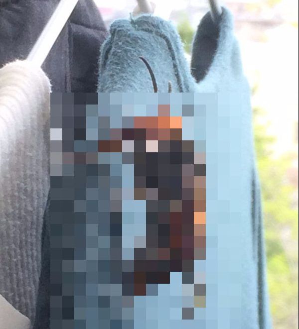 A deschis șifonierul și a făcut descoperirea șocantă. Stătea pe hainele ei! Ar fi putut s-o ucidă