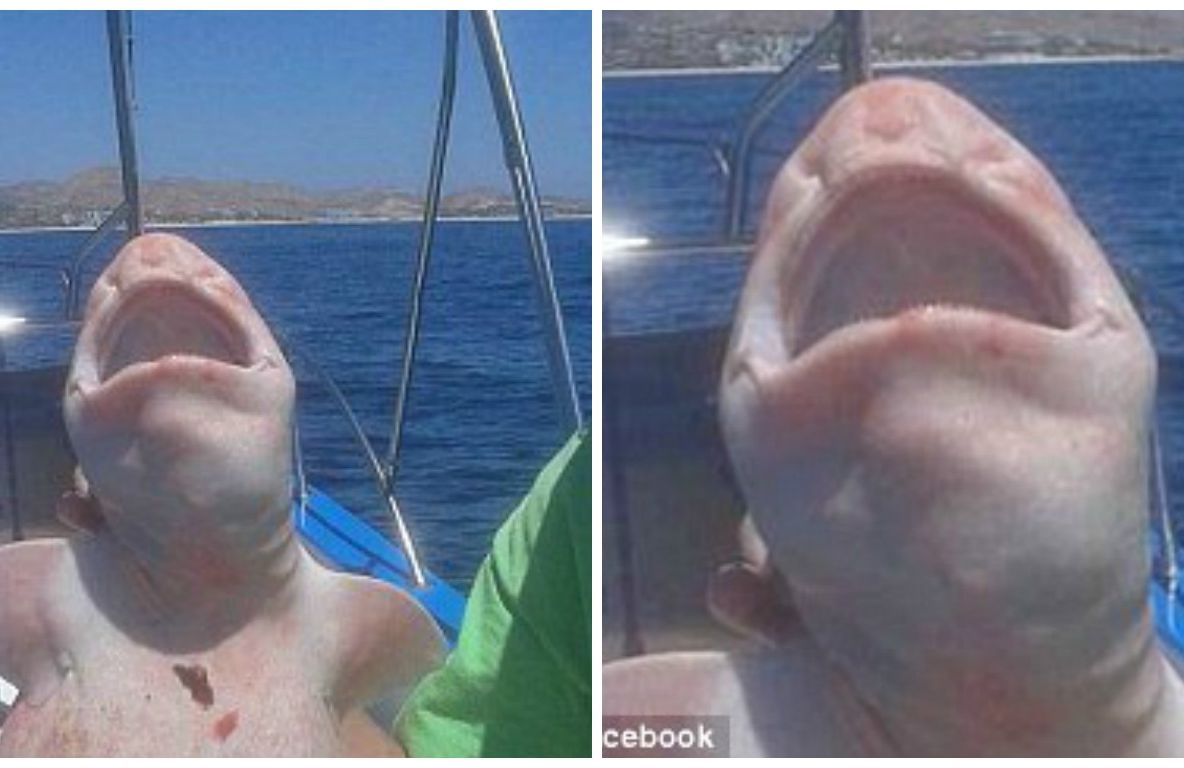 Monstrul tras din adâncul mării i-a speriat pe pescari