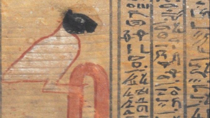 Descoperire șocantă pe un sicriu. Arheologii au rămas muți de uimire când au văzut asta