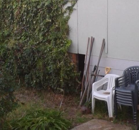 Auzea voci care proveneau din pivniță. A coborât sub casă și s-a cutremurat! Erau peste tot!