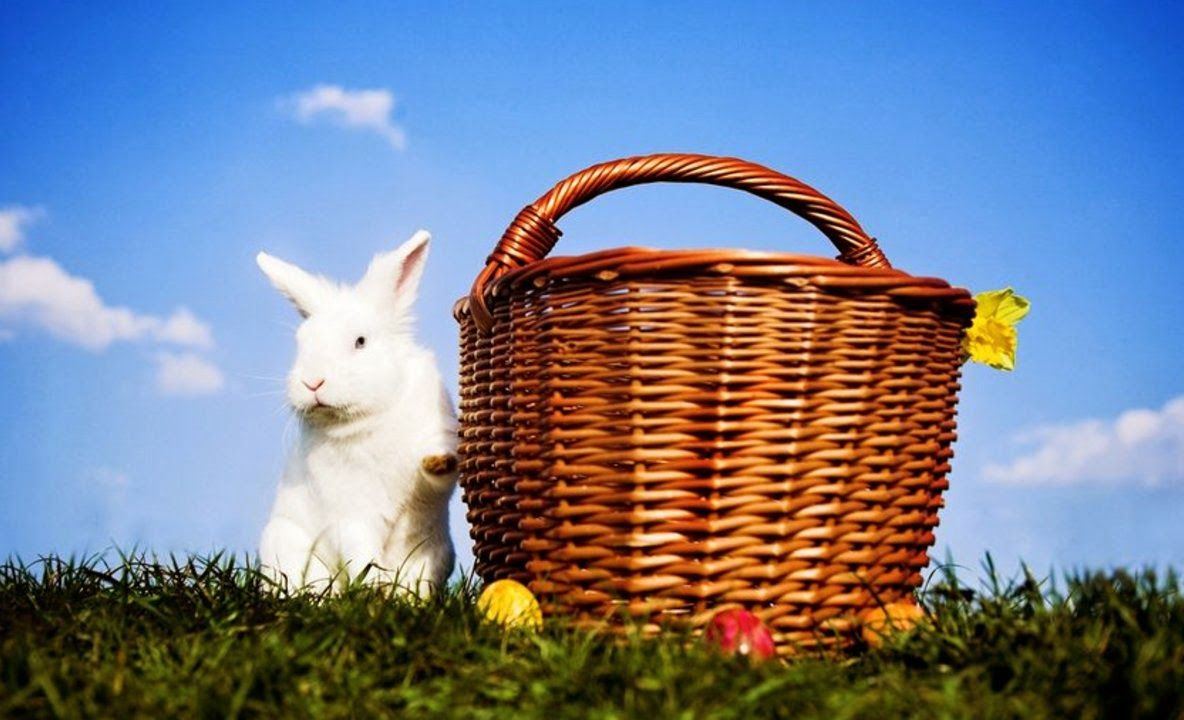 eMAG – 10 idei geniale de cadouri de Paste pentru toata familia