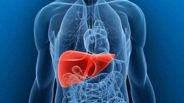 Cum să ne curăţăm rapid ficatul şi sângele. Ceaiul de rădăcină care reface funcţia hepatică