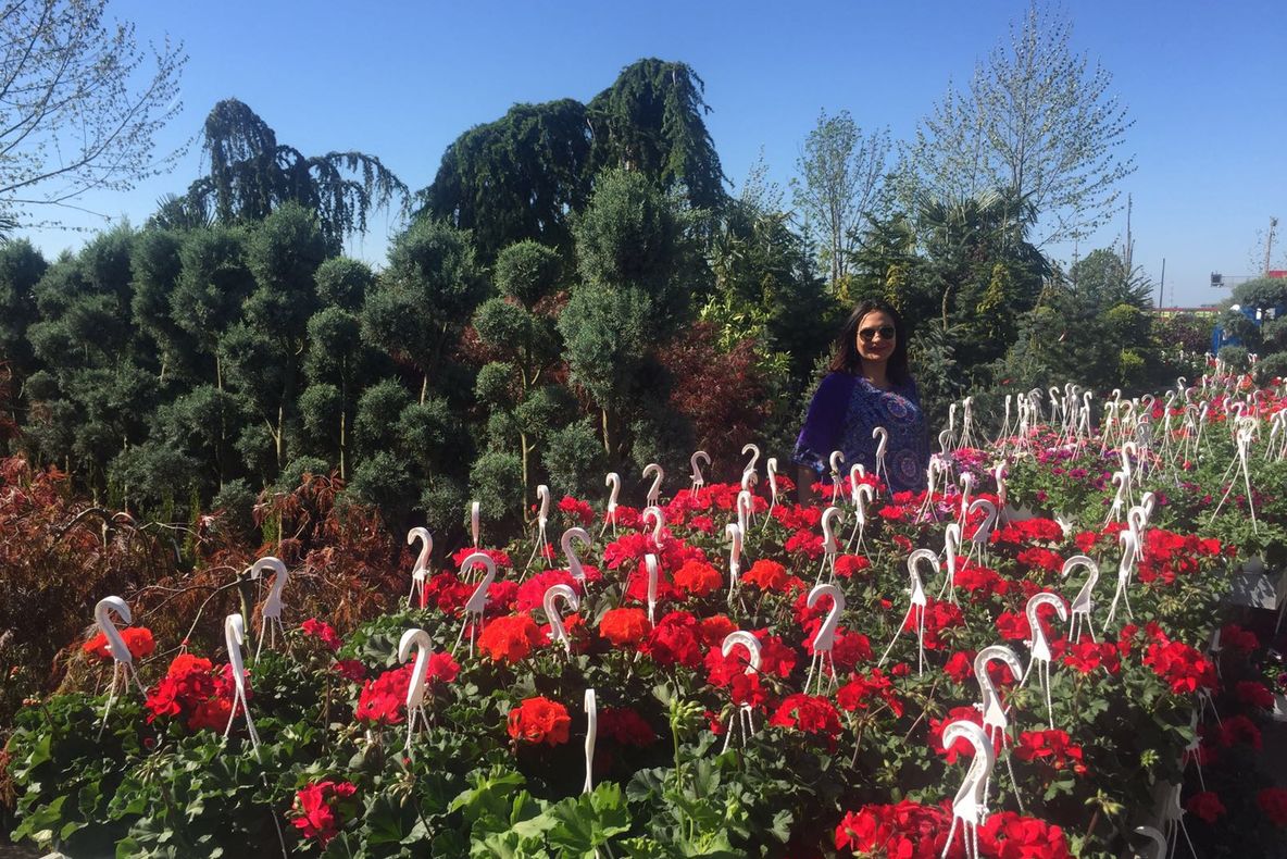 Recomandarea Alexandrei Păcuraru pentru a oferi cel mai frumos cadou de Paști