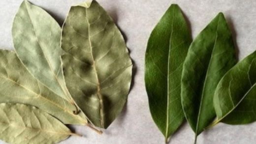 Ce se întâmplă dacă arzi câteva frunze de dafin în cameră